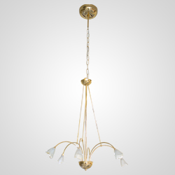 Araña serie PAQUITA